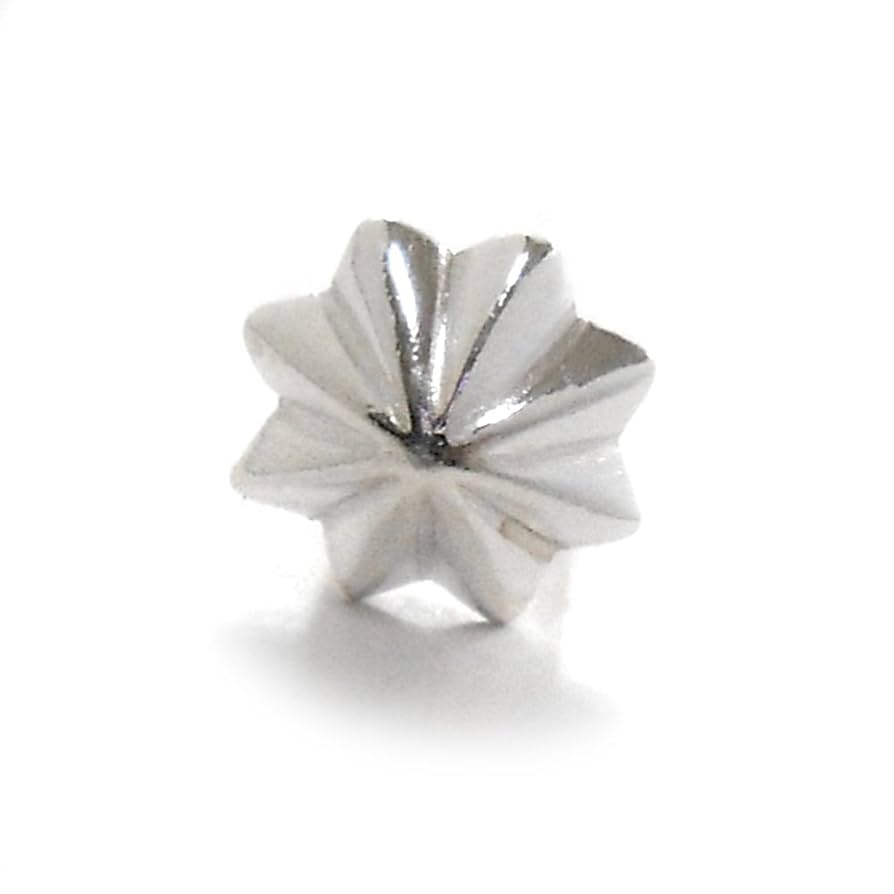 イーグル シルバーペンダントトップスタッズ スターグラスホルダー アポロコンチョ Sears ペンダントトップ シルバー925 ネックレス トップ